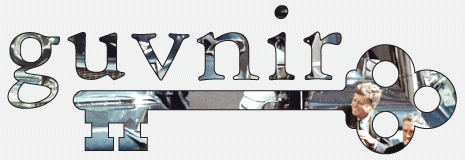 guvnir icon